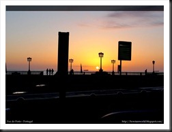 DSC03535