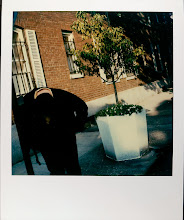jamie livingston photo of the day November 01, 1990  Â©hugh crawford