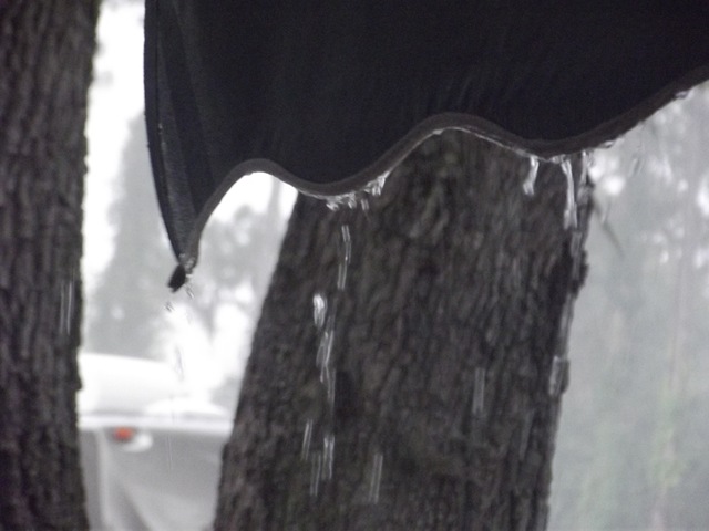 [Mon%2520%2526%2520Tues%2520009%255B3%255D.jpg]