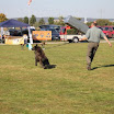 IMG_3141.JPG