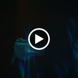 CLIP0668.AVI