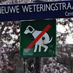 DSC_0544.jpg