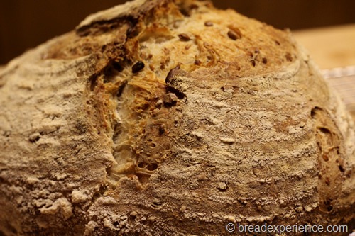 sourdough-seed-bread_1710