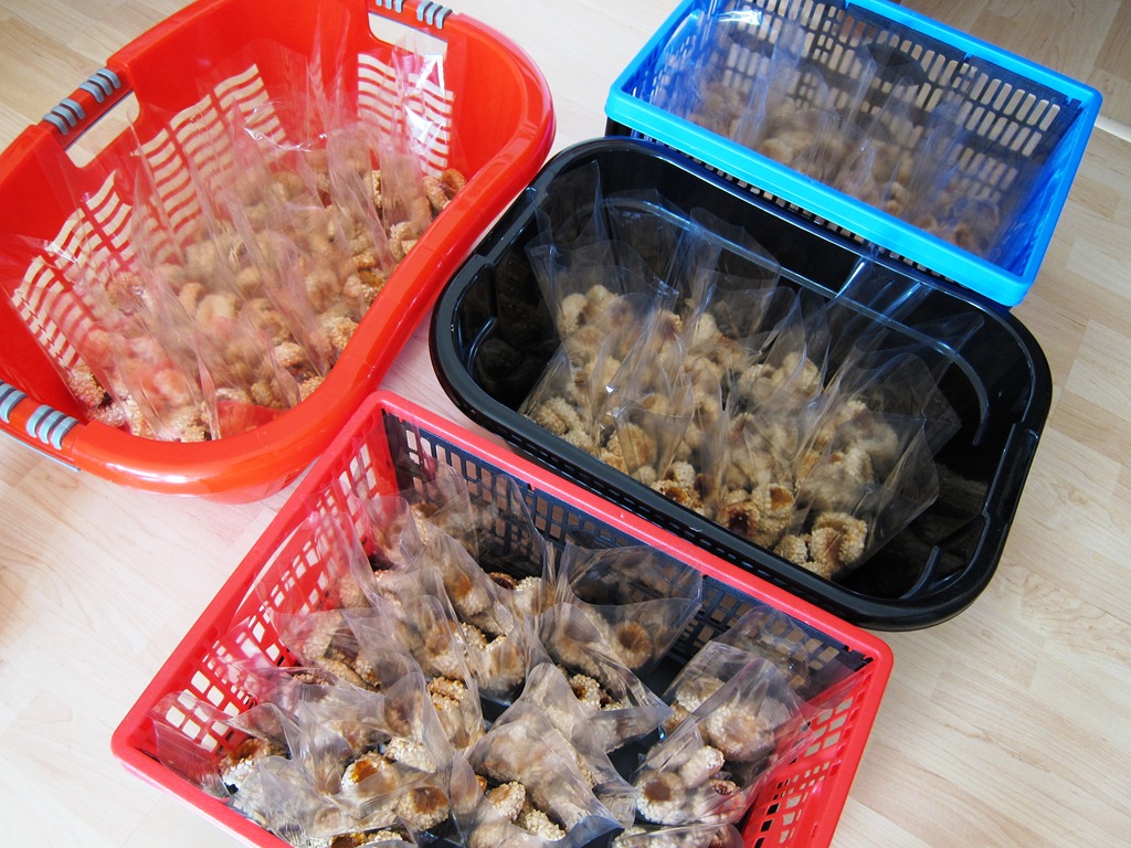 [IMG_1661%255B2%255D.jpg]