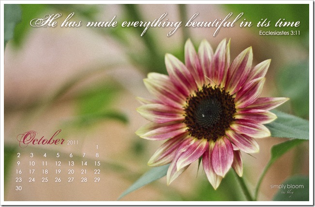 October-Wallpaper-S