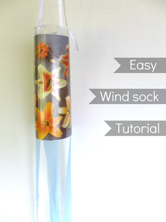[wind%2520sock%25205%255B5%255D.jpg]