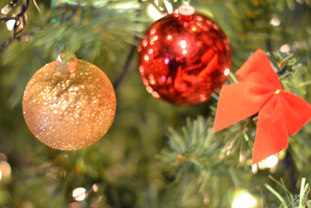 [DSC_0062%255B4%255D.jpg]