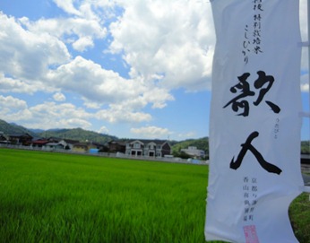 DSC07080 DSC07080