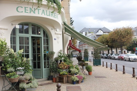 [centaurea_reims_par_-via-floresie5.jpg]