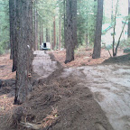 IMAG0033.jpg