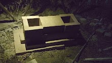 100_2838.JPG