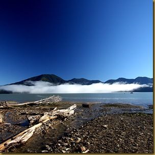 Driftwood beach clouds reflection