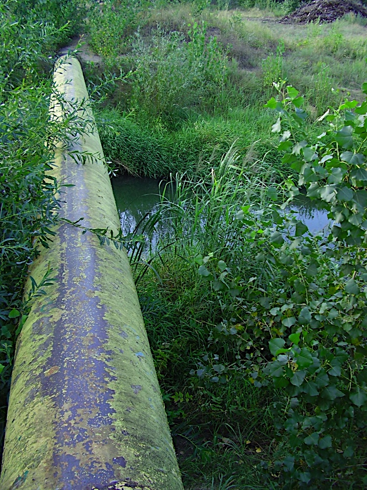 P8260346.JPG