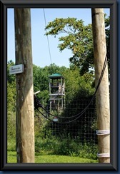 wild safari near me wild safari near me