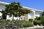 Фото 3 Sheraton Sharm Resort