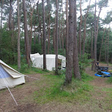 DSC02424.JPG
