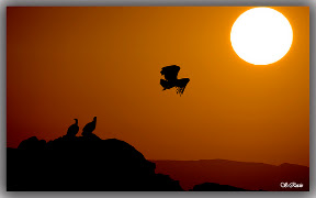 Amanecer en la subbetica