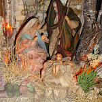1531-11.JPG