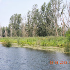DSCN8232.JPG