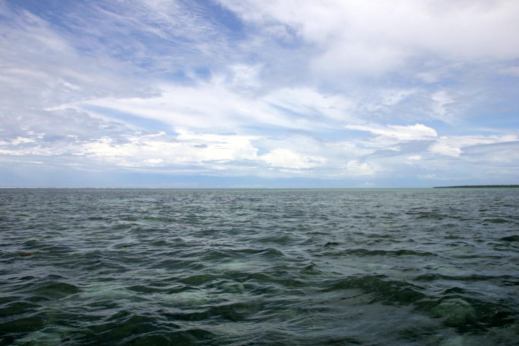 [IMG_9449%255B3%255D.jpg]