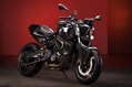 BMW-Vilner-F800-R-Predator-16