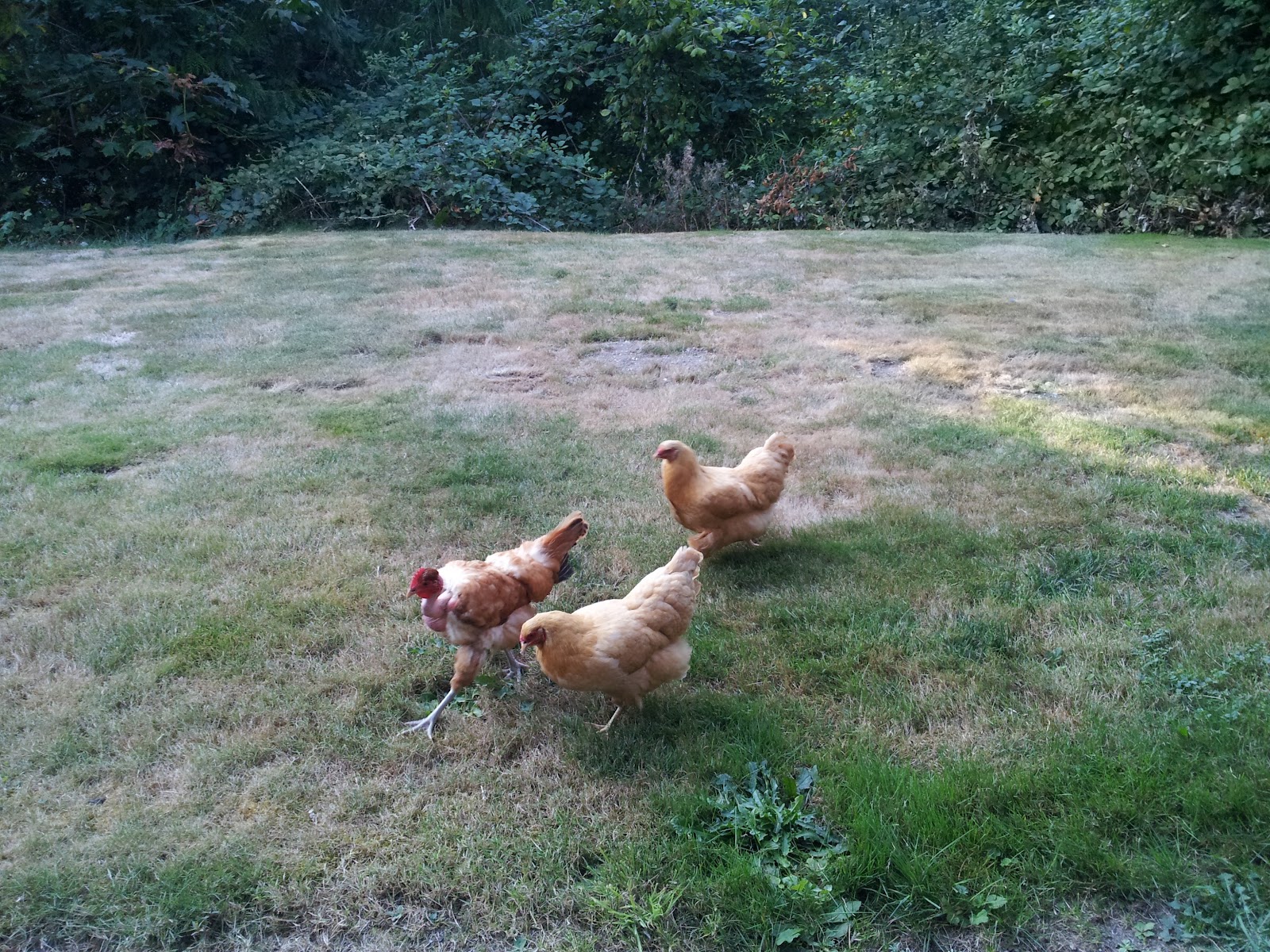 [20120920_172021%255B4%255D.jpg]