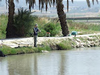 p1295964877(17).jpg