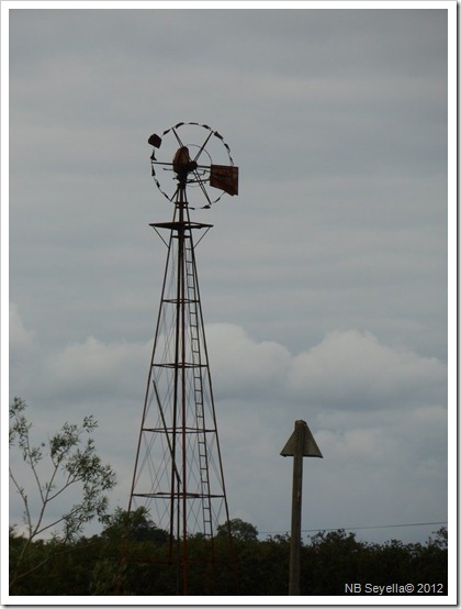 SAM_1574 Wind pump SAM_1574 Wind pump