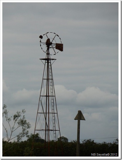 SAM_1574 Wind pump