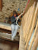 Recycled manger makes new bannister http://www.skibreezy.com