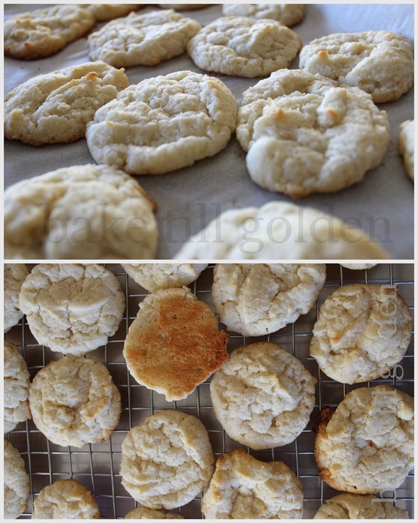 Lemon Cookies with Basil White Choco - BTG-012