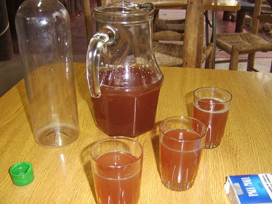 [24170e5d4784392476fbe529a701c378_chicha_02%255B4%255D.jpg]