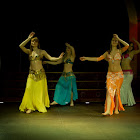 Document Name_3_255.JPG