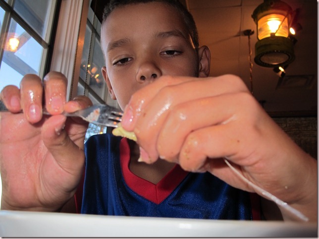 IMG_3445 IMG_3445