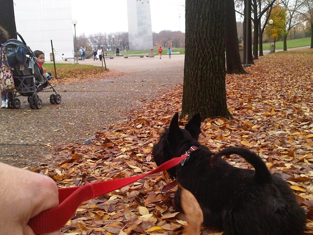 [IMG00124-20091028-1216%255B3%255D.jpg]