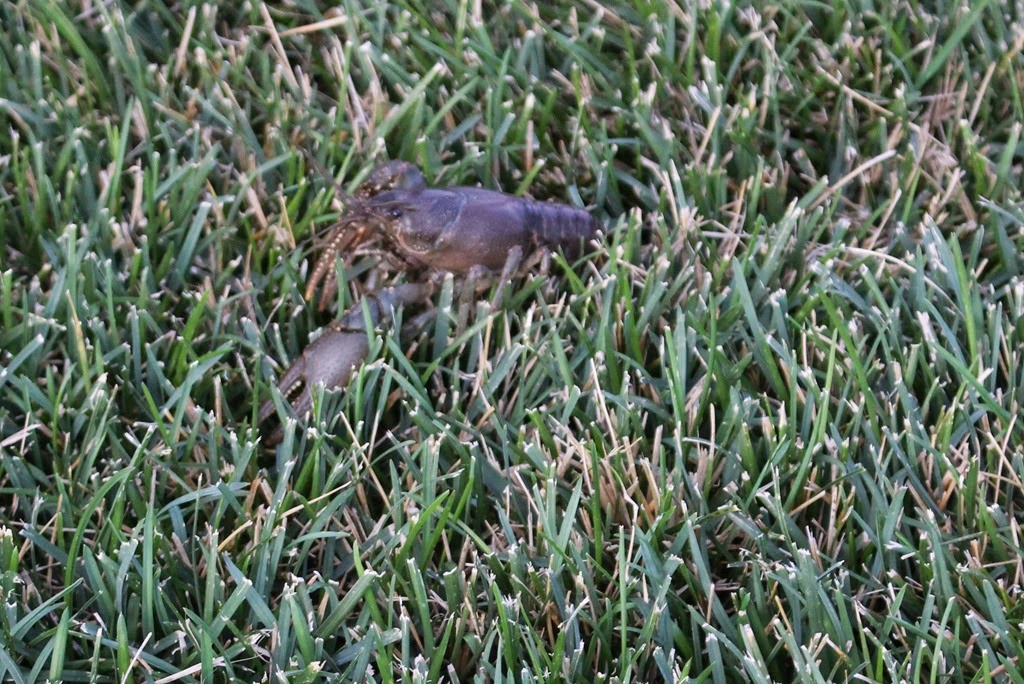 [IMG_1950%255B4%255D.jpg]