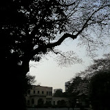20110402_