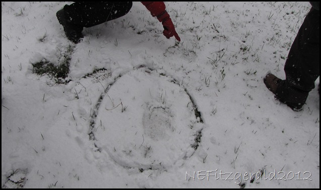 IMG_1728Bear TracksInSnow IMG_1728Bear TracksInSnow