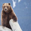 LakeClark-4809.jpg