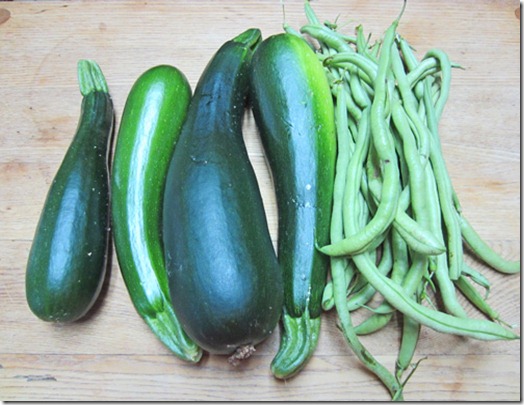 Dunja zucchini and Fortex pole beans