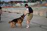 K9 Officer Hanley with K9 Dog \