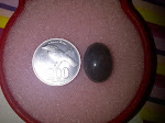 IMG-20111113-01722.jpg