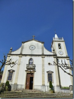 P1020665 P1020665
