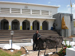 CIMG0734.JPG