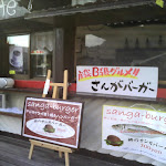 IMG_20120211_150251.jpg