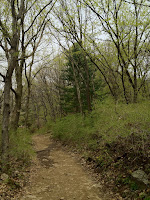 IMG_0614.jpg Photo