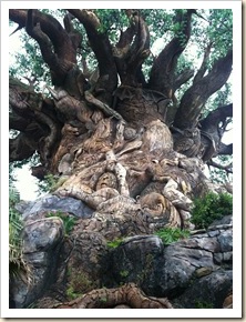 tree of life close up