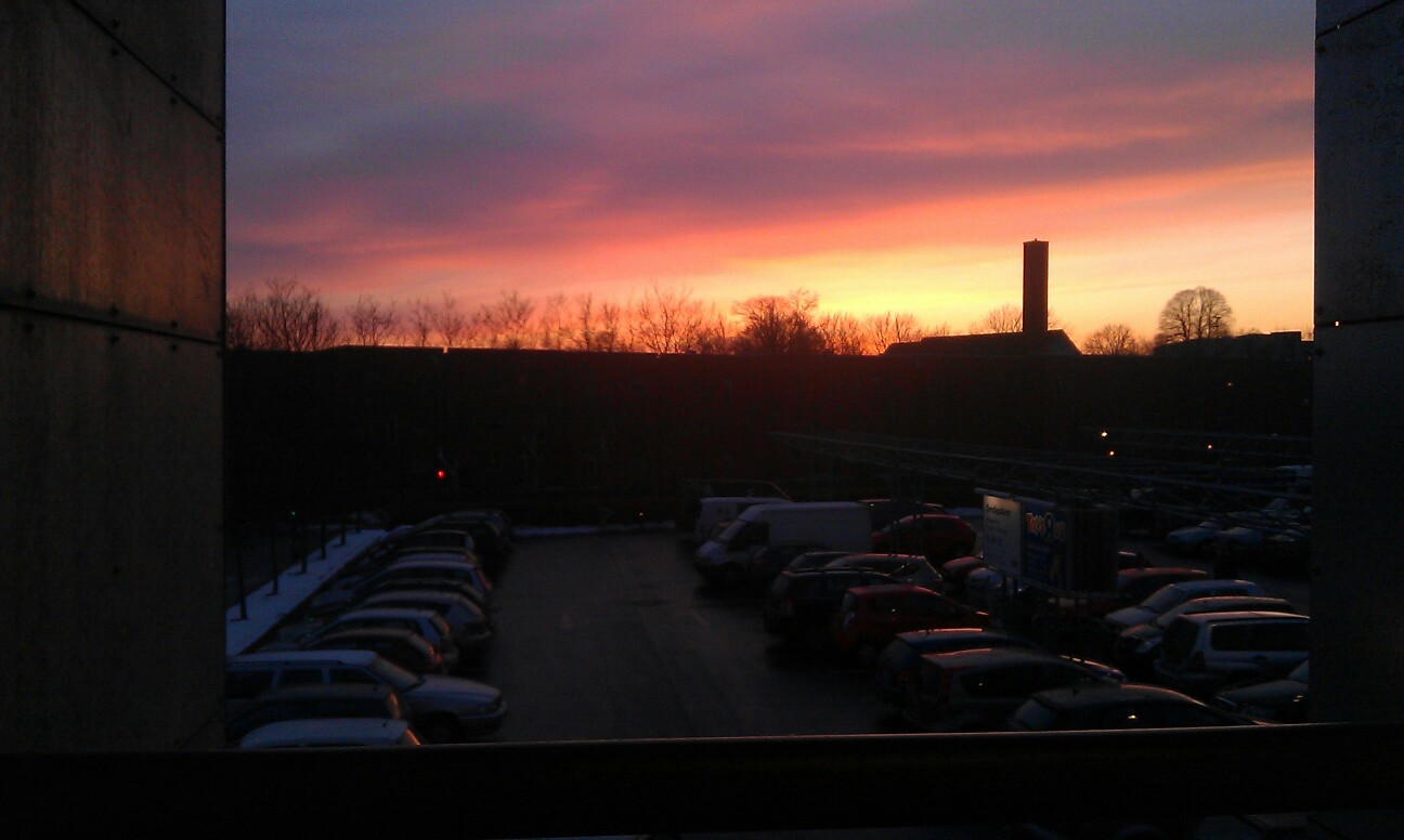 Beautiful Evening Picture