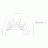 Twitter icon size W48xH48