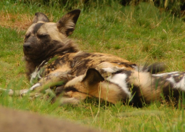 [DSC_6531%255B4%255D.jpg]